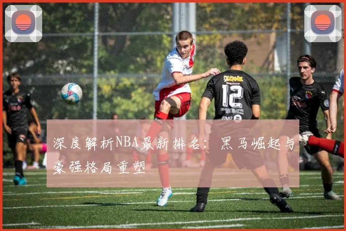 深度解析NBA最新排名：黑马崛起与豪强格局重塑